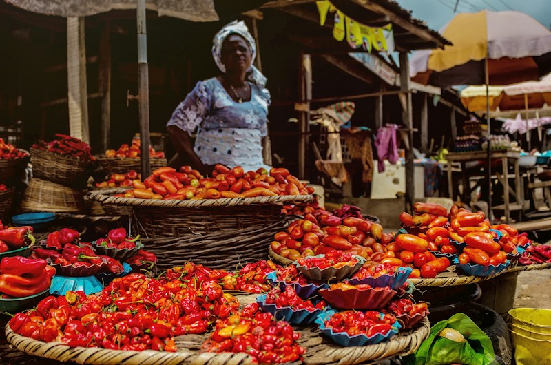 Maraîchage, culture vivrière Côte d'Ivoire